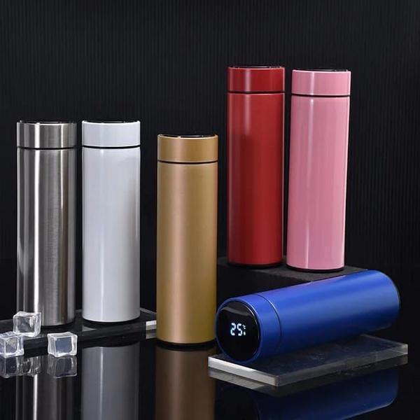 1 Pc Stainless Steel Bottle